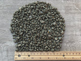 GAF TREASURES pyrite chips décoratives pour arrangements
