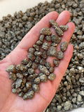 GAF TREASURES pyrite morceaux non perçés pour créations