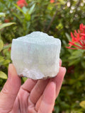 GAF TREASURES Pistache Calcite brute, éclat naturel pour cabochons et bijoux