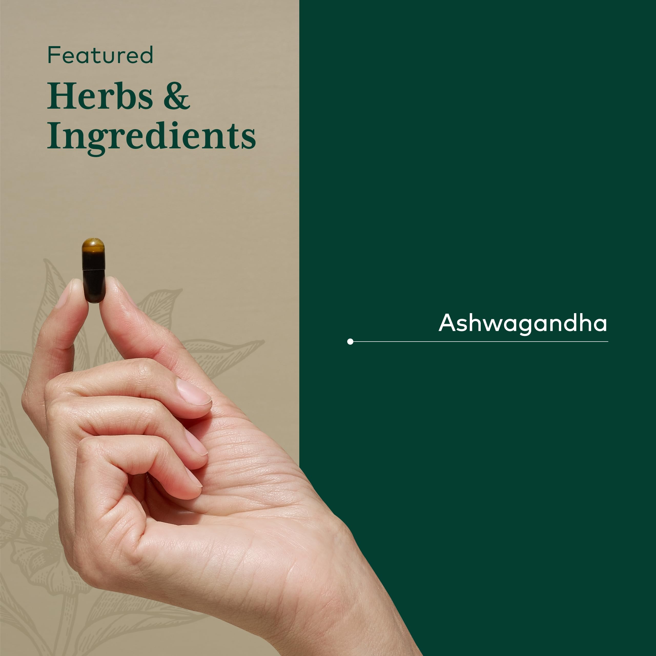GAIA HERBS PRO Ashwagandha 700 - dose pratique pour la routine