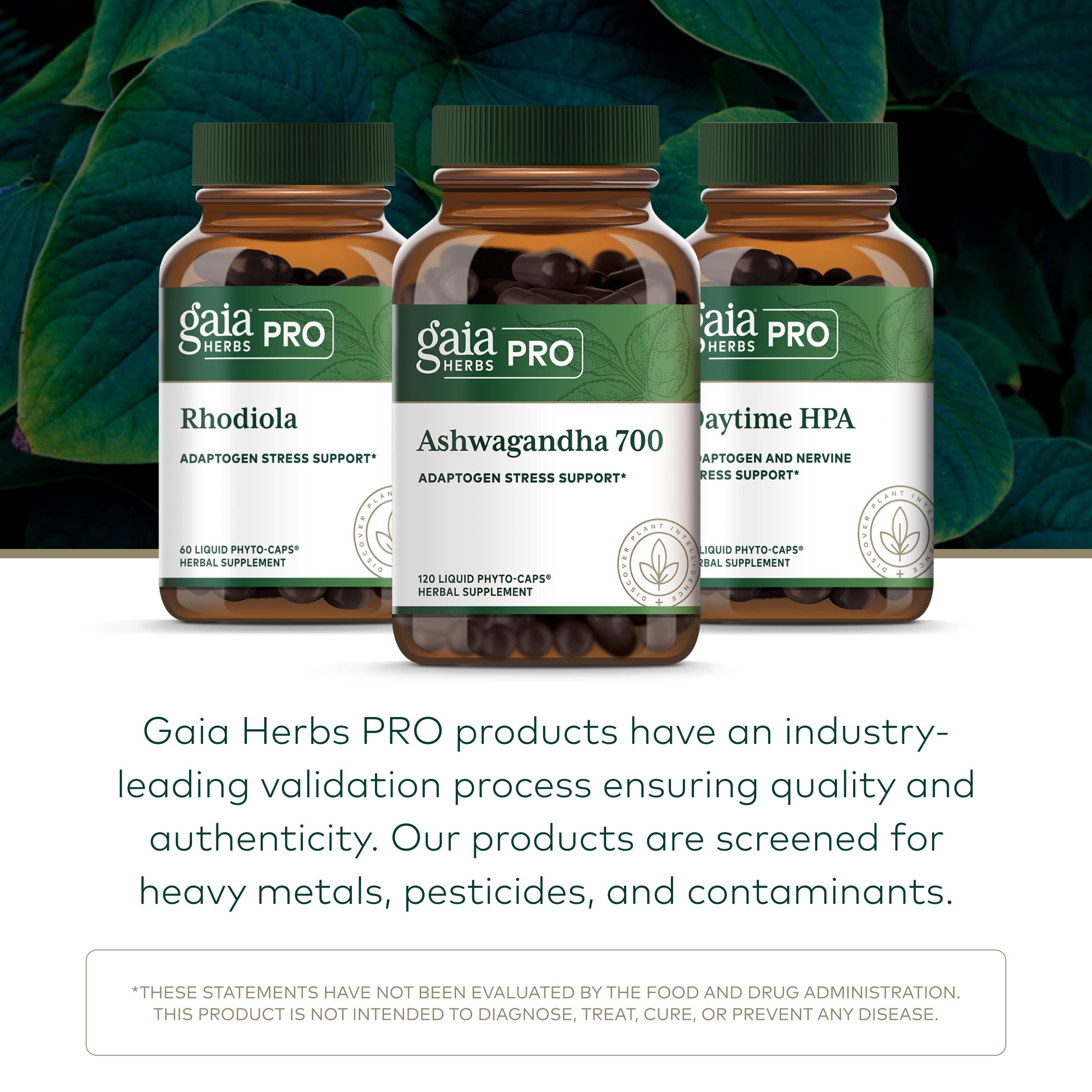GAIA HERBS PRO Ashwagandha 700 - ferme certifiée organique régénératrice