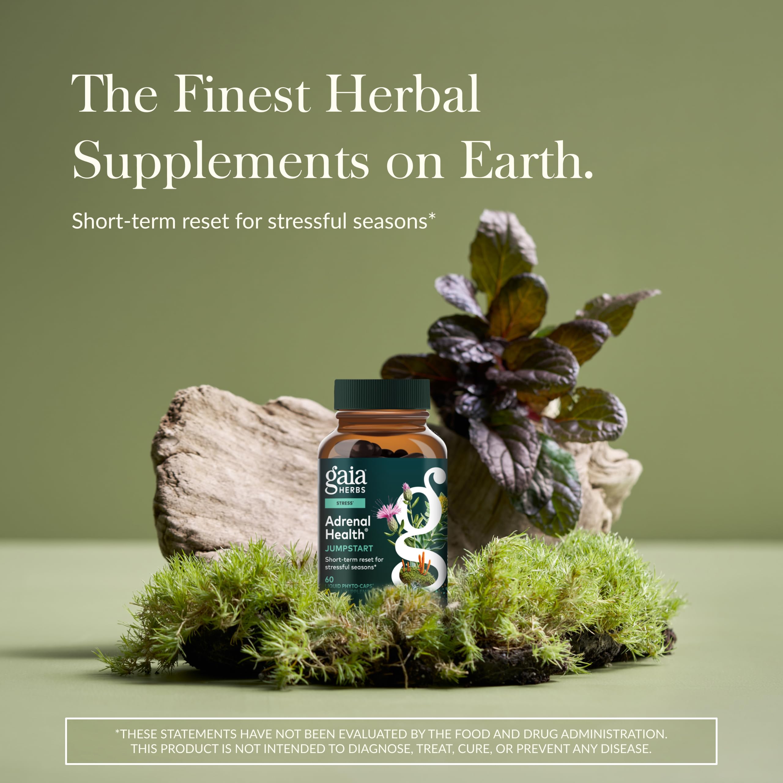 Gaia Herbs Adrenal Health Jumpstart – Capsules véganes pour soutien adaptogène quotidien