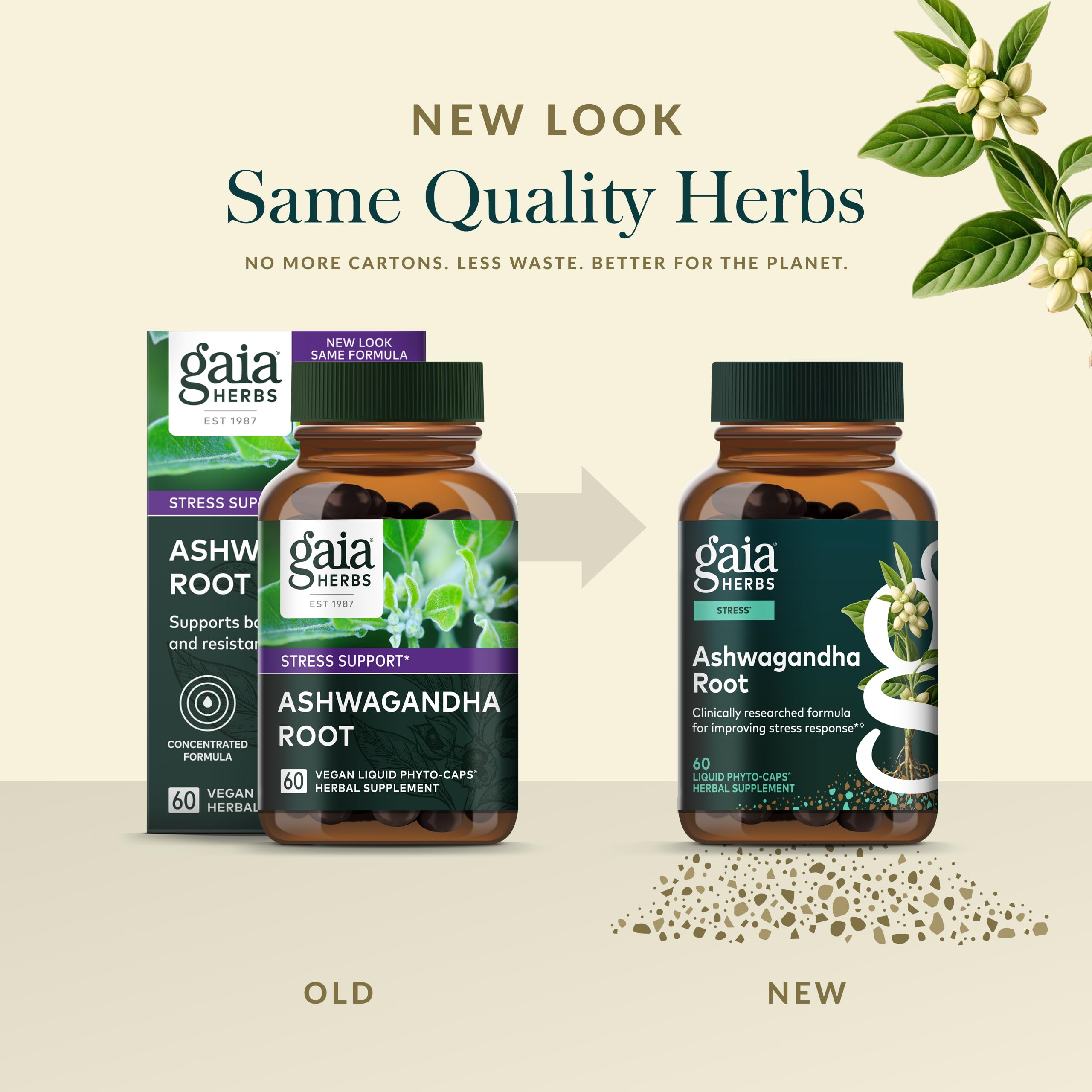 Capsules liquides Gaia Herbs en gros plan, prise simple.