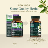 Capsules liquides Gaia Herbs en gros plan, prise simple.