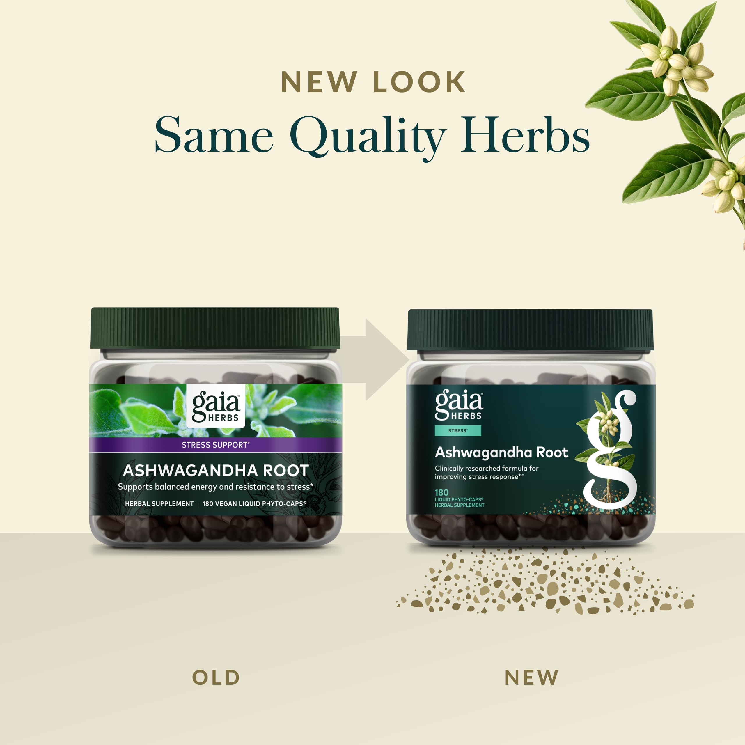 Gaïa Herbs Ashwagandha tableau-nutrition : informations claires sur ingrédients et dosage.