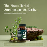 Gaia Herbs Astragalus Supreme capsules visibles, effet antioxydant potentiel