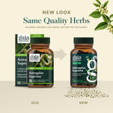 Gaia Herbs ligustrum fruit photo illustrating the botanical ingredient and vitality support