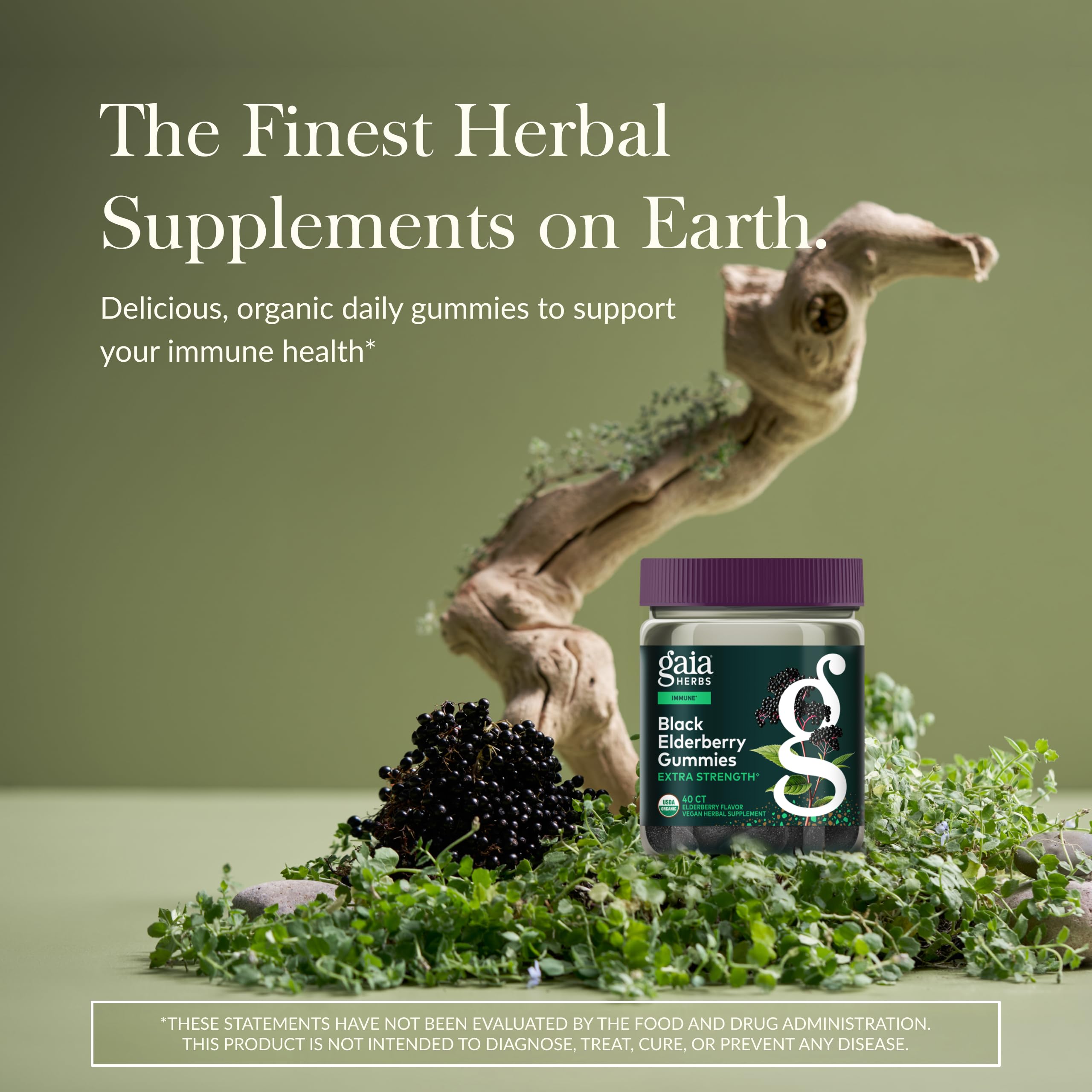 Gaia Herbs Bouteille Gommes Sureau Noir Bio: format pratique pour déplacements et collations.