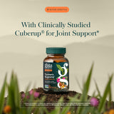 Gaia Herbs capsule opened to show concentrated liquid extract
