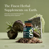 Capsules Ashwagandha Gaia Herbs prêtes à l’emploi pour le sommeil
