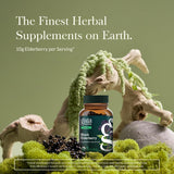 Capsules Gaia Herbs Sureau Noir—format pratique pour l'usage quotidien