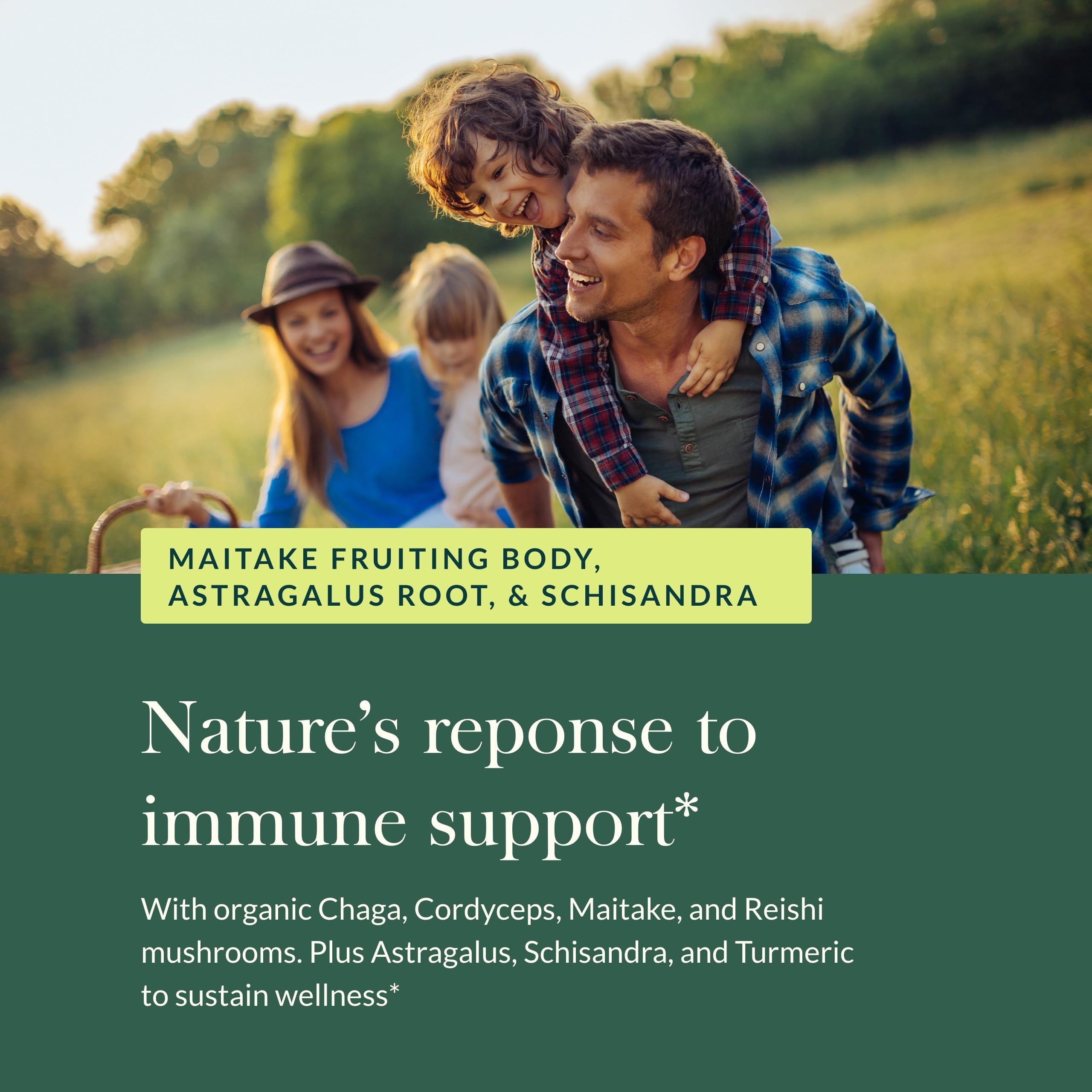 Champignon Chaga Gaia Herbs, texture terreuse et intégration quotidienne