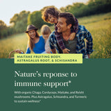 Champignon Chaga Gaia Herbs, texture terreuse et intégration quotidienne