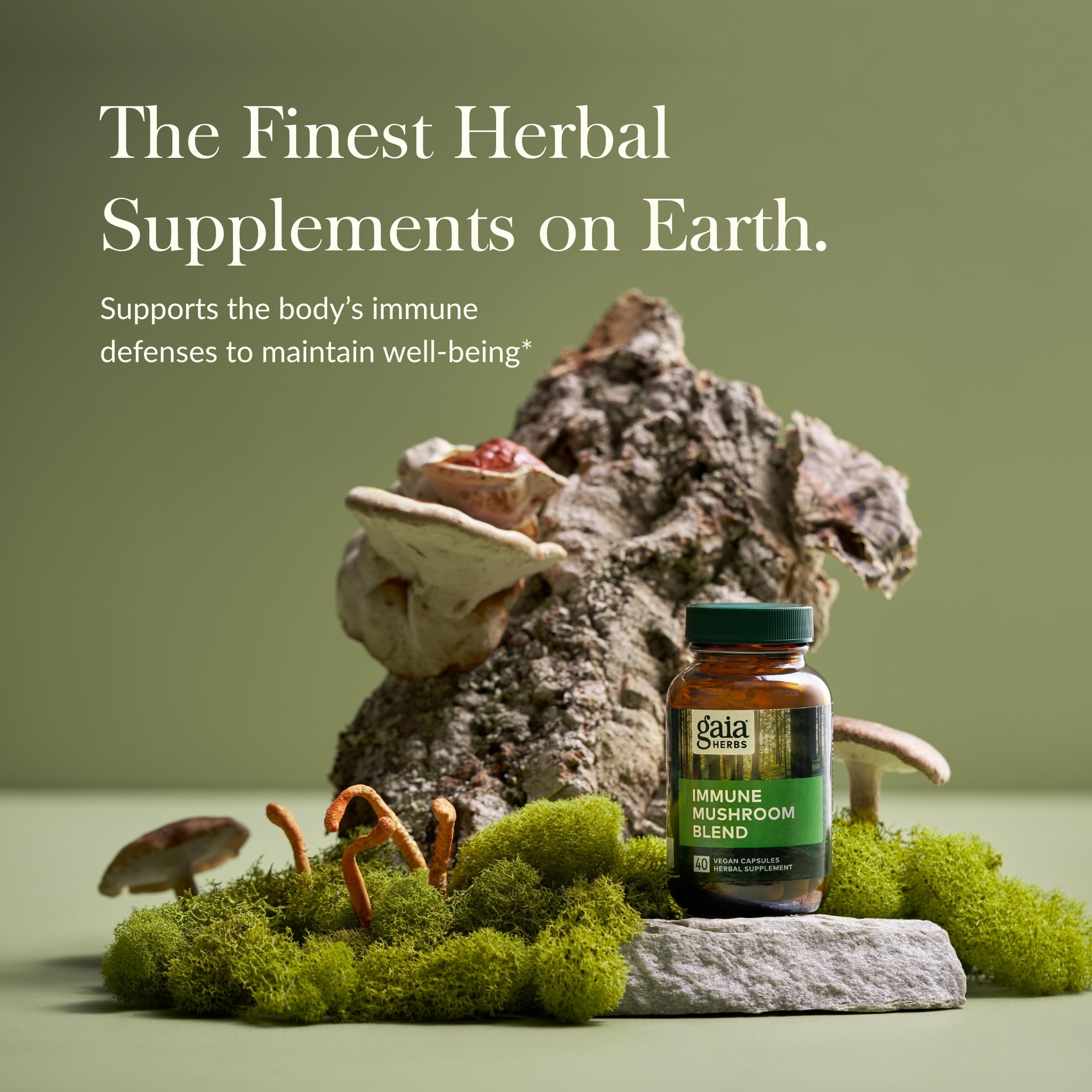 Gaia Herbs Champignons du Quotidien: la boîte-emballage révèle l'origine et l'engagement qualité.