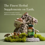 Gaia Herbs Champignons du Quotidien: la boîte-emballage révèle l'origine et l'engagement qualité.