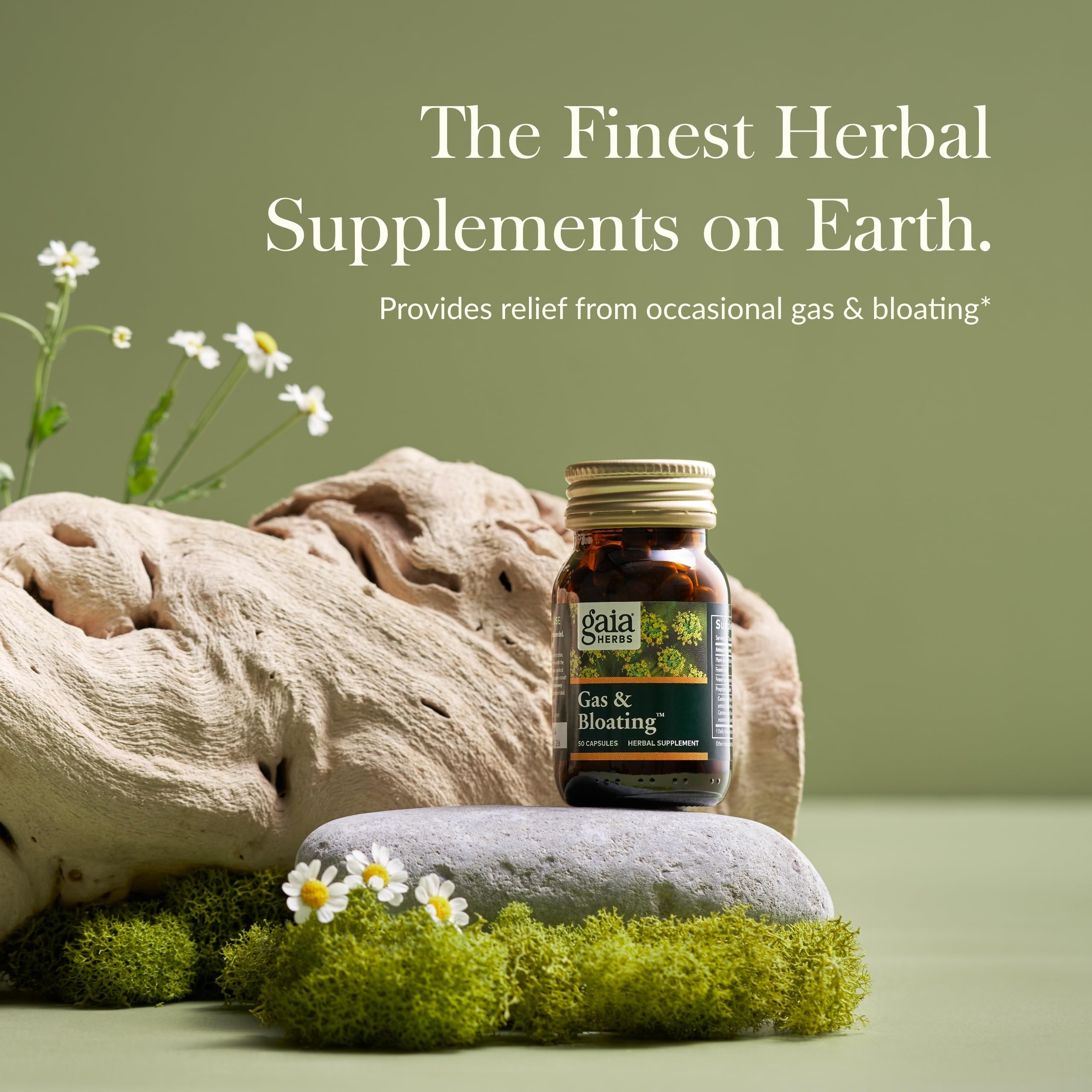 Gaia Herbs Charbon Actif – capsules visibles, soutien digestif potentiel.