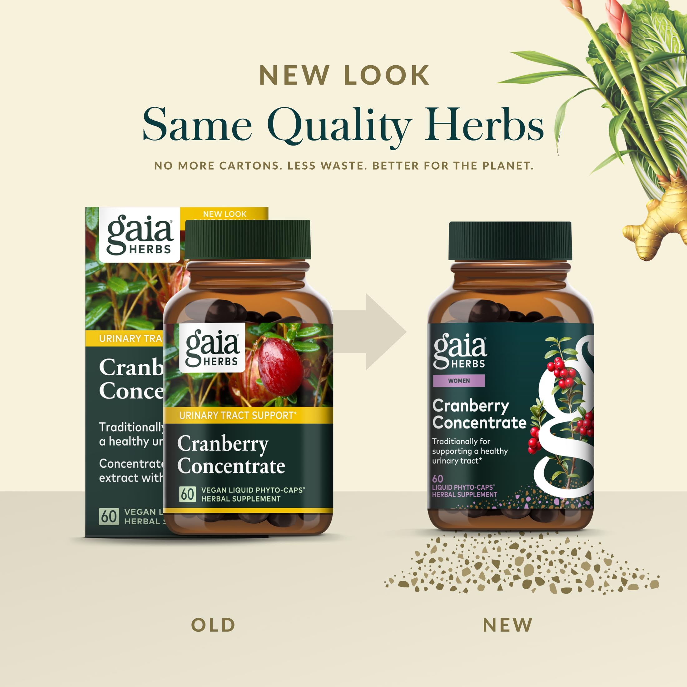 Gaia Herbs Concentré de Canneberge – capsules liquides véganes faciles à consommer