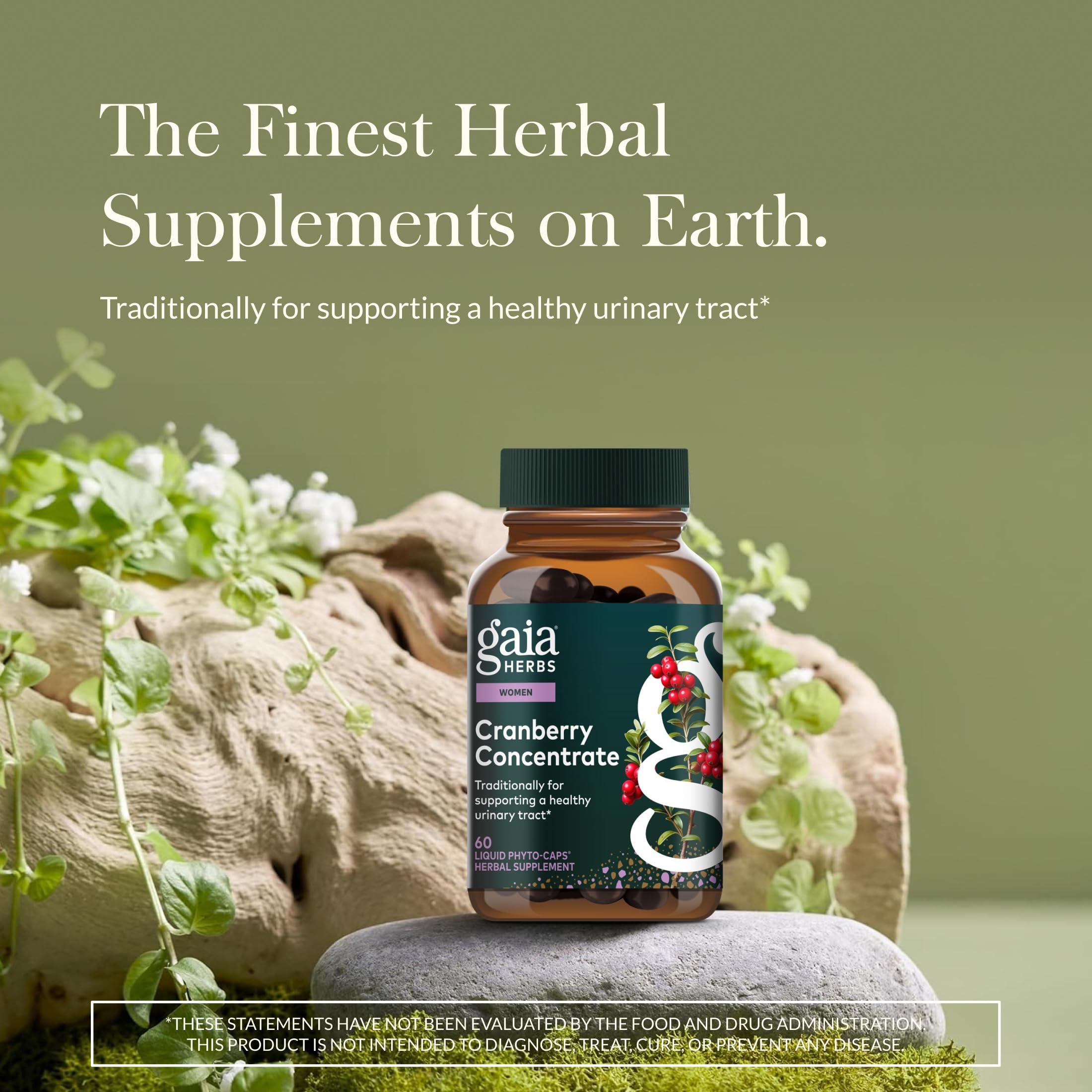 Gaia Herbs Concentré – gouttes d'extrait de canneberge facile à intégrer au quotidien