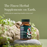Gaia Herbs Concentré – gouttes d'extrait de canneberge facile à intégrer au quotidien