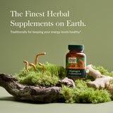 Cordyceps et ashwagandha biologiques – Gaia Herbs endurance naturelle