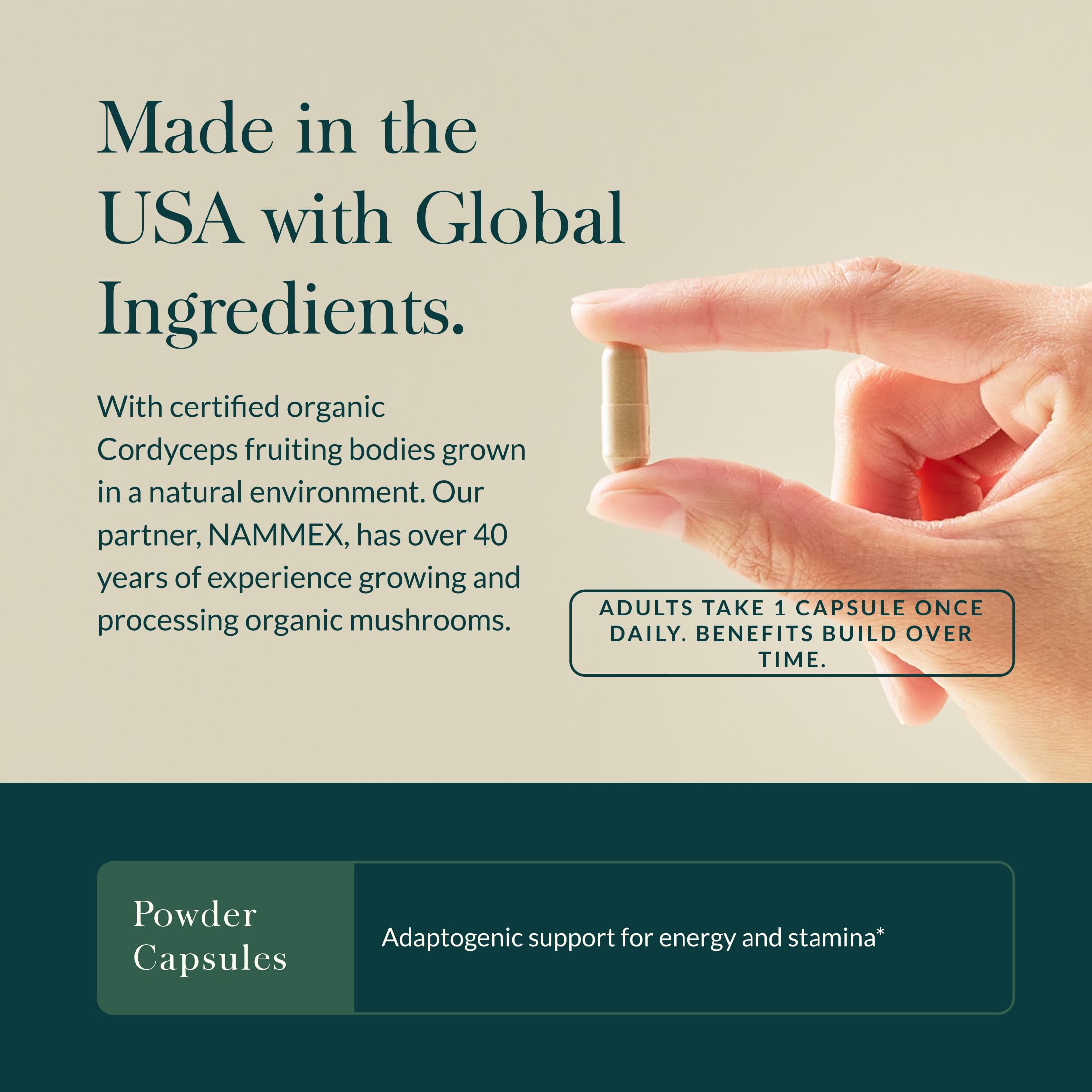 Gaia Herbs Cordyceps – dose quotidienne recommandée, simplicité d'utilisation.