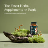 Gaia Herbs Cordyceps – étiquette bio, traçabilité claire du champ à l'utilisateur.