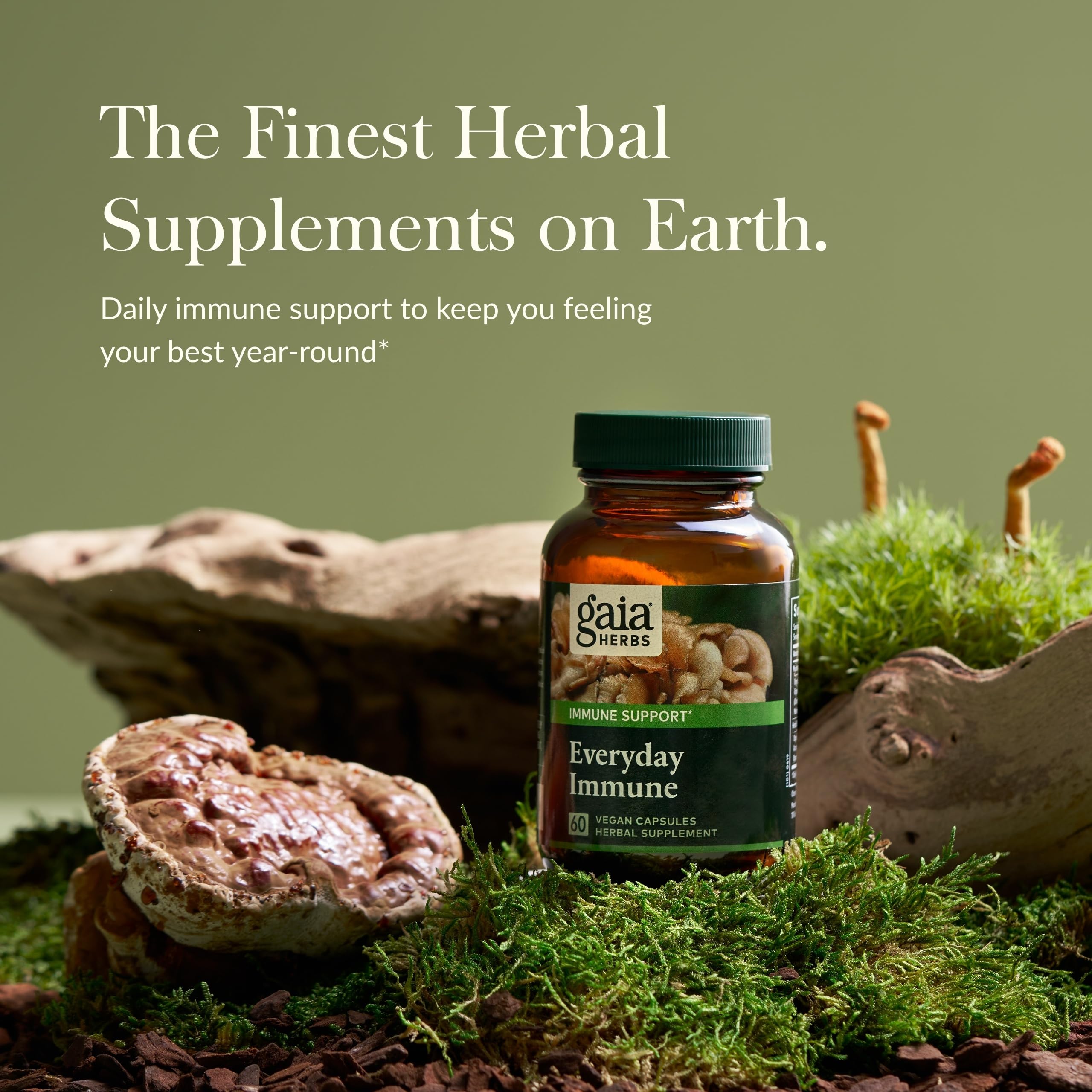 Gélules Cordyceps et Shiitake Gaia Herbs pour énergie et routine végétalienne