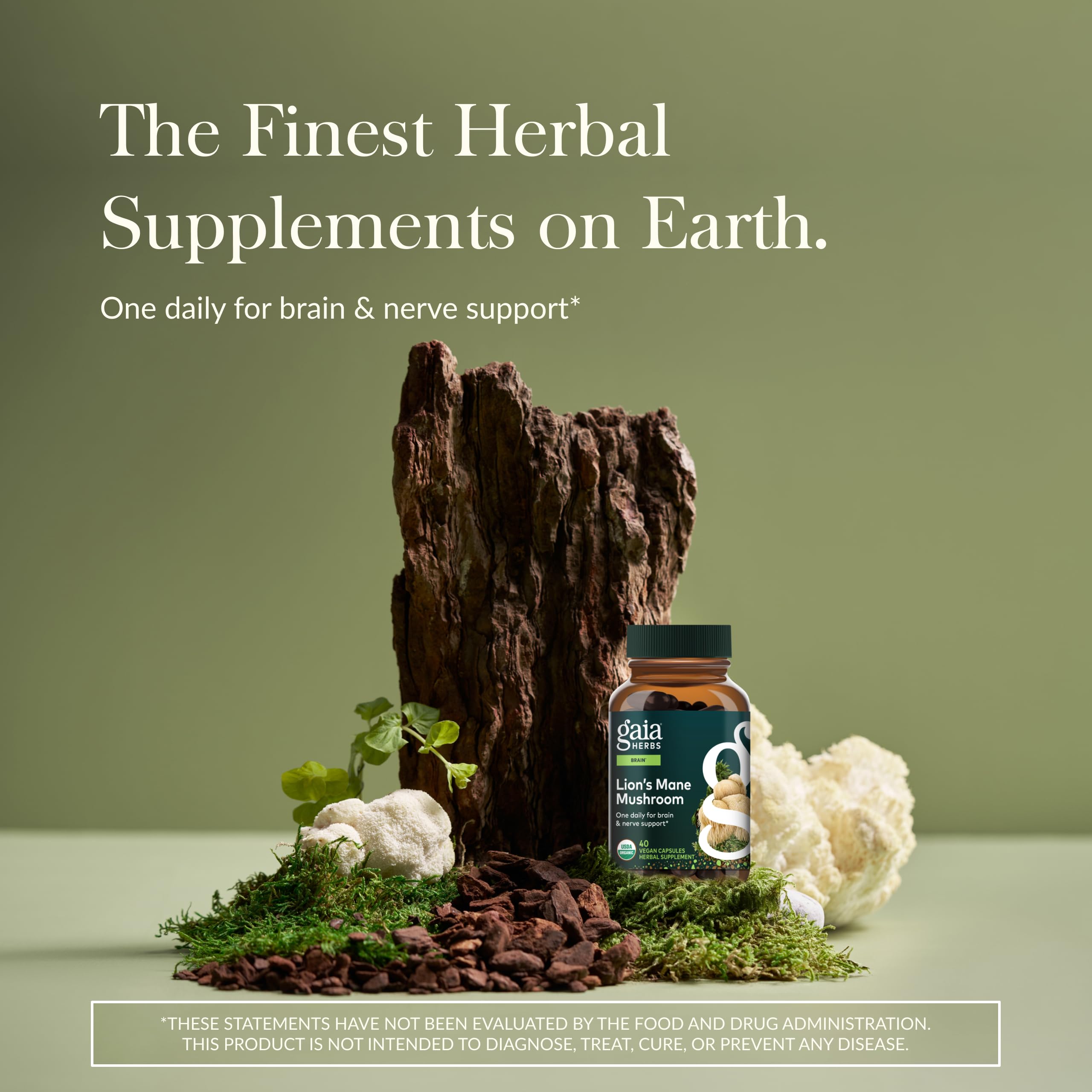 Gaia Herbs Crinière-de-lion - extraits du corps fructifères, efficacité potentielle