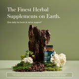 Gaia Herbs Crinière-de-lion - extraits du corps fructifères, efficacité potentielle