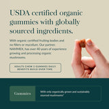 Gaia Herbs Lion's Mane Gummies ingrédients listés et qualité garantie.