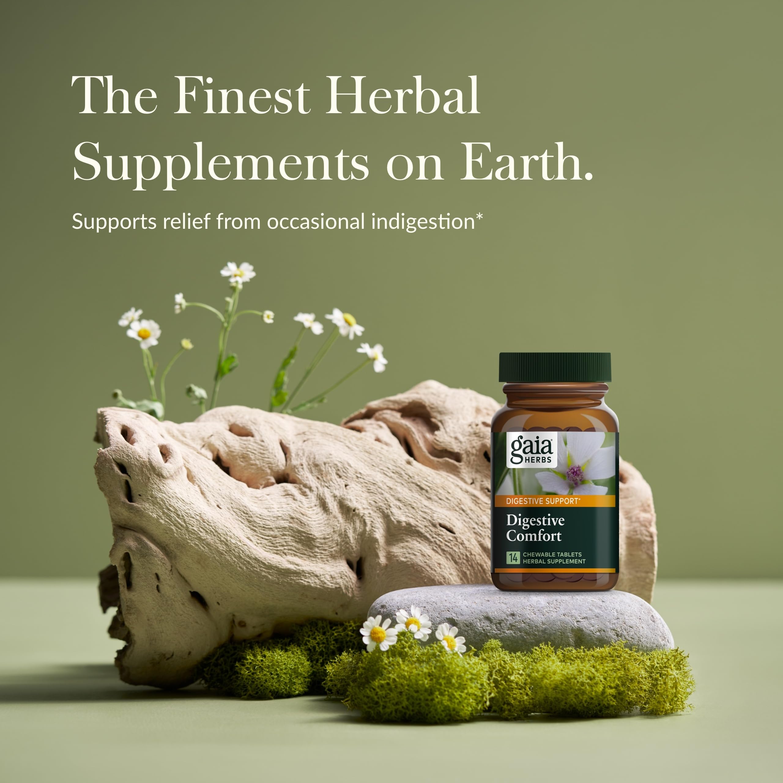 Gaia Herbs Digestive Comfort – comprimés masticables: solution pratique après les repas.