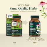 Qualité Gaia Herbs, de la plante au produit fini