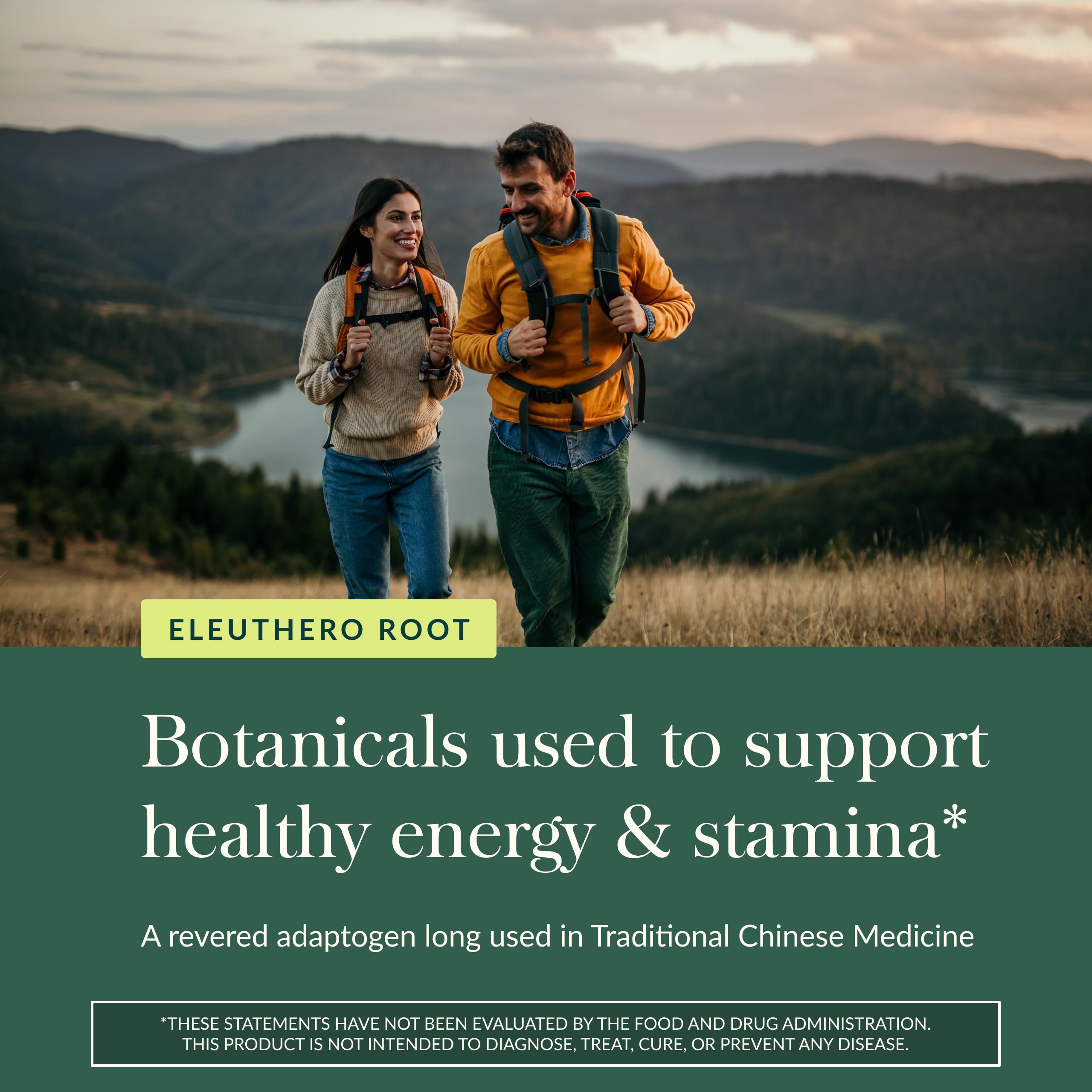 Gaia Herbs Eleuthero – usage quotidien suggéré pour soutenir l’endurance.