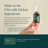 Gaia Herbs Echinacea Goldenseal Propolis Spray, emballage élégant, présentation soignée.