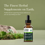Étiquette Gaia Herbs Olive Leaf Extrait montrant biologique et utilisation quotidienne.