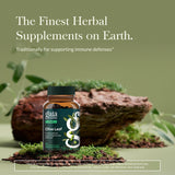 Gaia Herbs Extrait Feuille Olive: concentration naturelle prête à l'emploi.