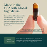 Gaia Herbs regenerative organic farm field conveying sustainable sourcing