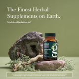 Gaia Herbs Fenugrec Seed – capsules vegan, faciles à intégrer au quotidien