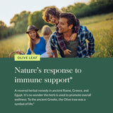 Feuilles d’olivier sur l’emballage Gaia Herbs évoquant le bien-être naturel.