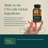 Gingembre biologique et racine d'ashwagandha – ingrédient premium énergie