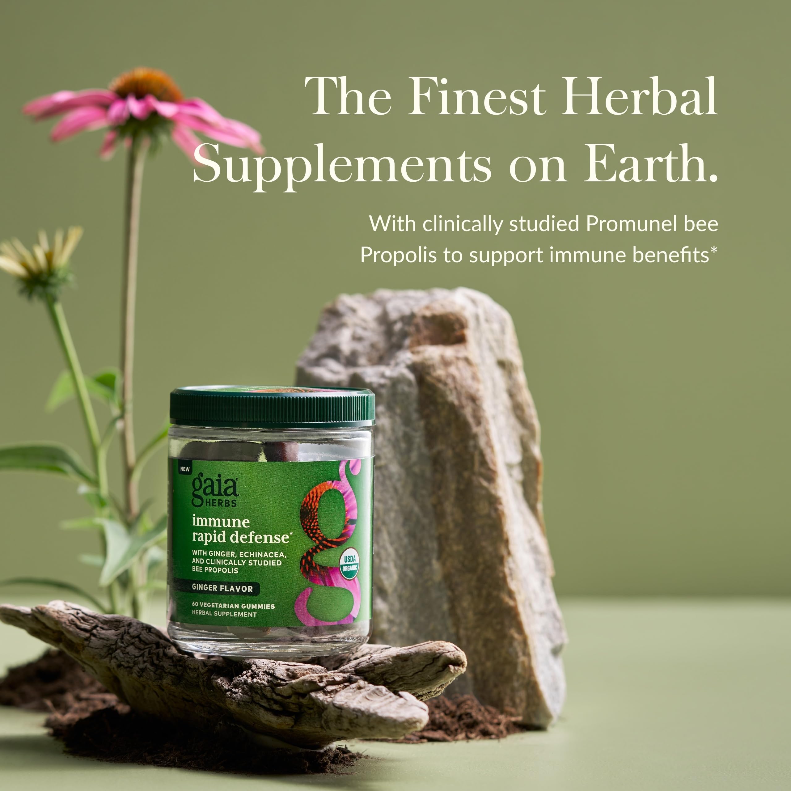 Gaia Herbs Immunité Rapid Defense Gummies ingrédients: gingembre et échinacée, propolis.