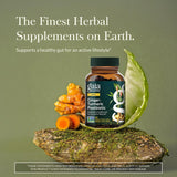 Gaia Herbs Ginger-Turmeric Postbiotic, gélules vegan : format pratique au quotidien.