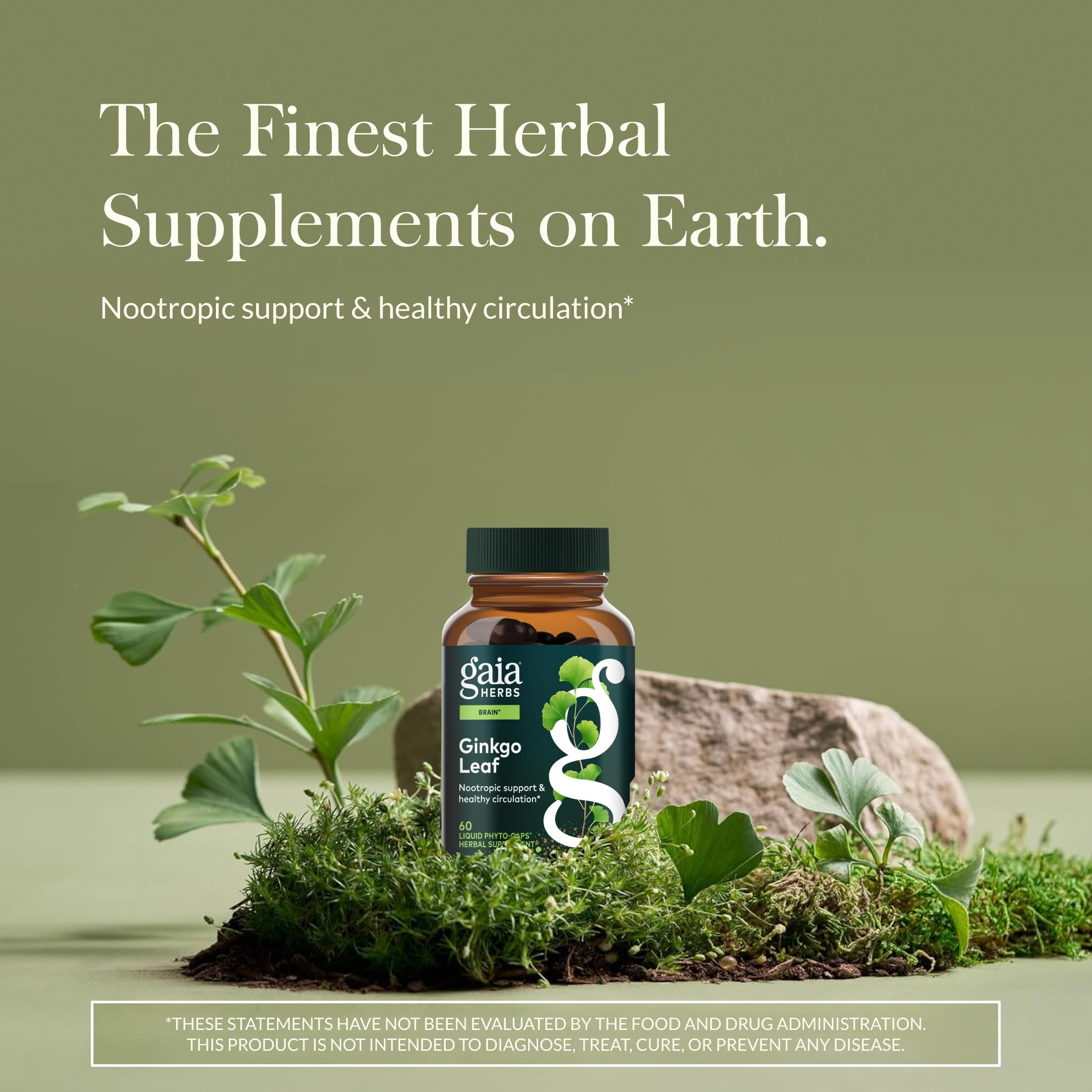 Gaia Herbs Ginkgo Leaf, capsules: support possible pour la performance cognitive.