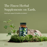 Gaia Herbs Ginkgo Leaf, capsules: support possible pour la performance cognitive.