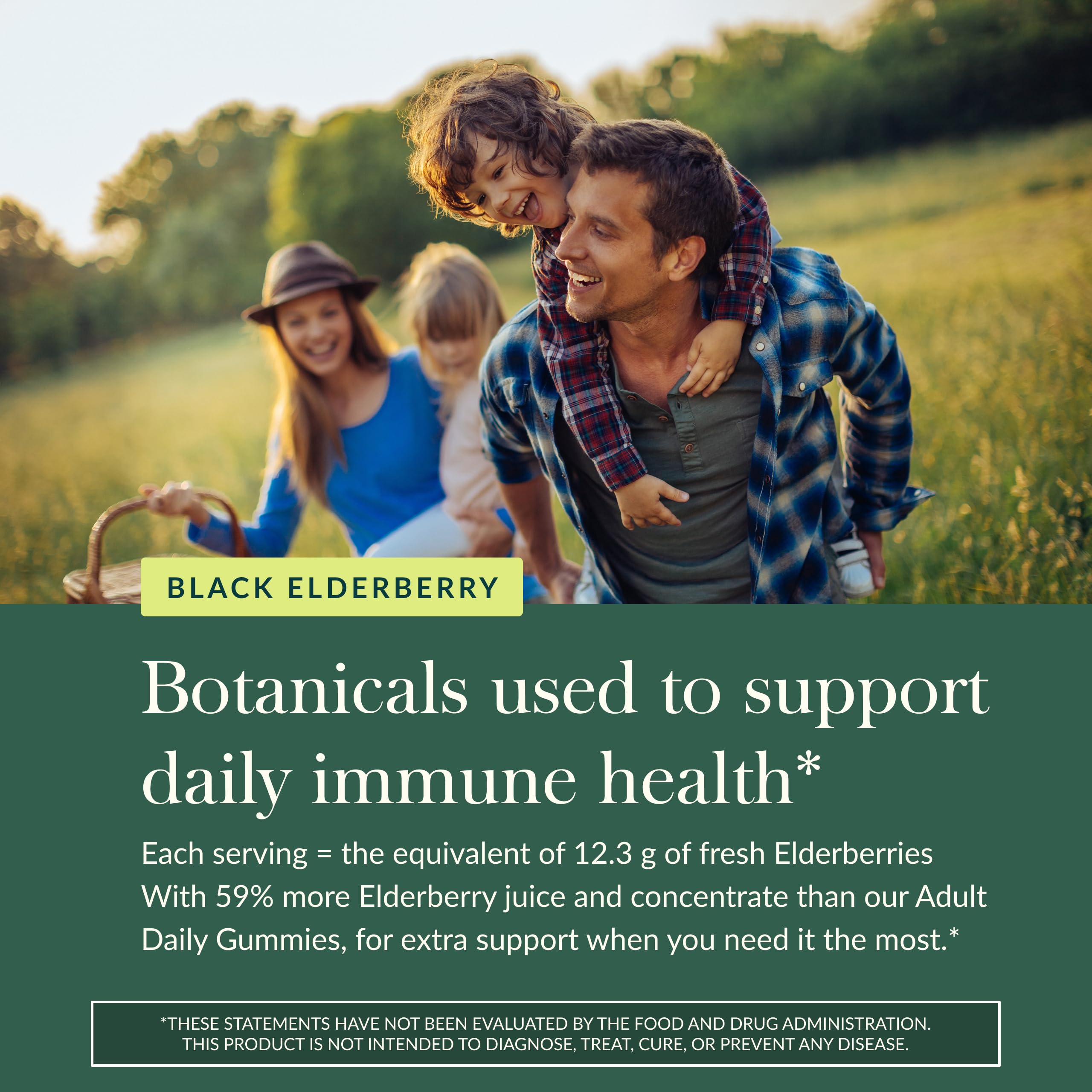 Coopérative biologique Gaia Herbs – récolte manuelle des baies.