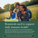 Coopérative biologique Gaia Herbs – récolte manuelle des baies.
