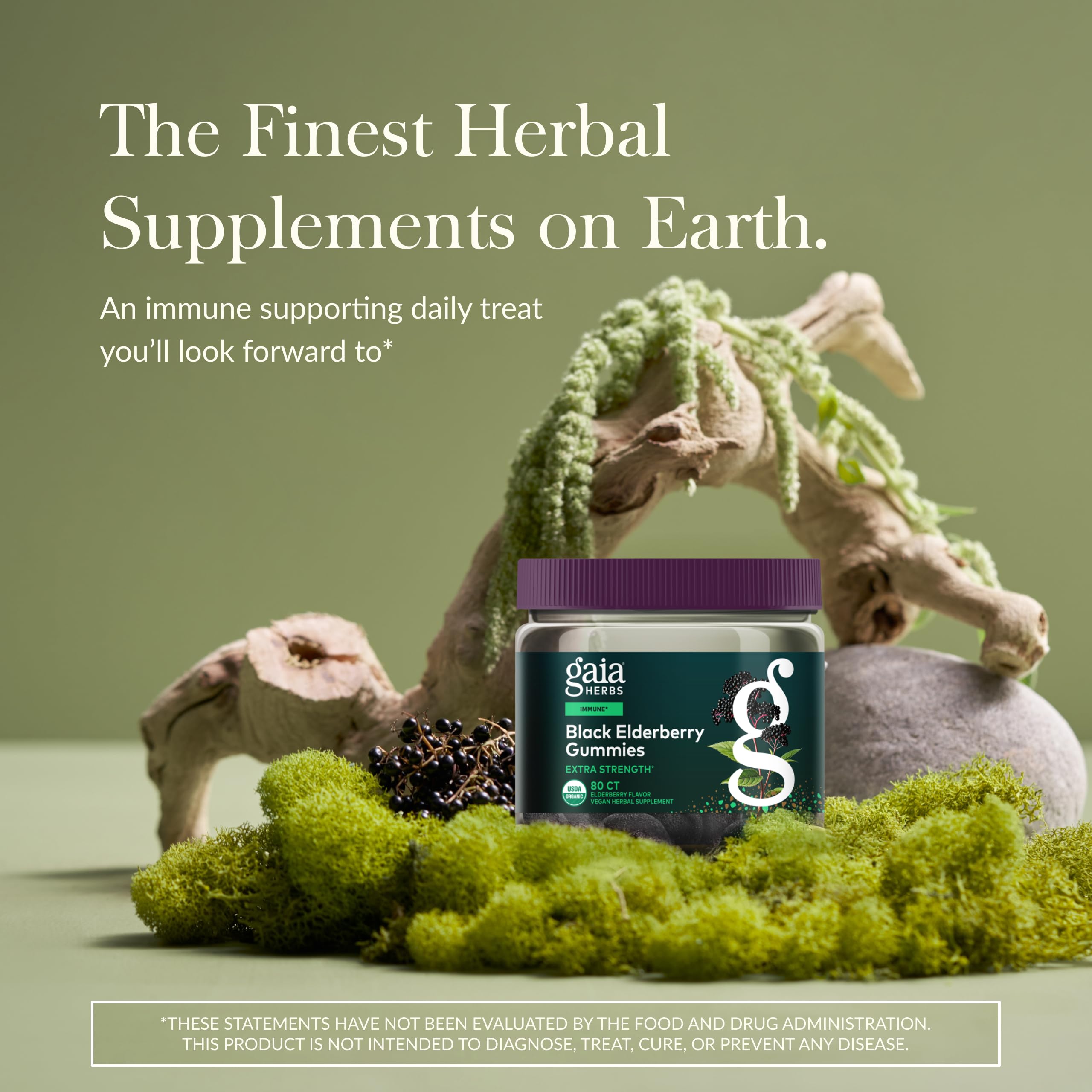 Texture gélifiée naturelle des gommes Gaia Herbs Sureau Noir.
