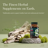 Gaia Herbs close-up of vegan phyto-caps highlighting easy swallowing