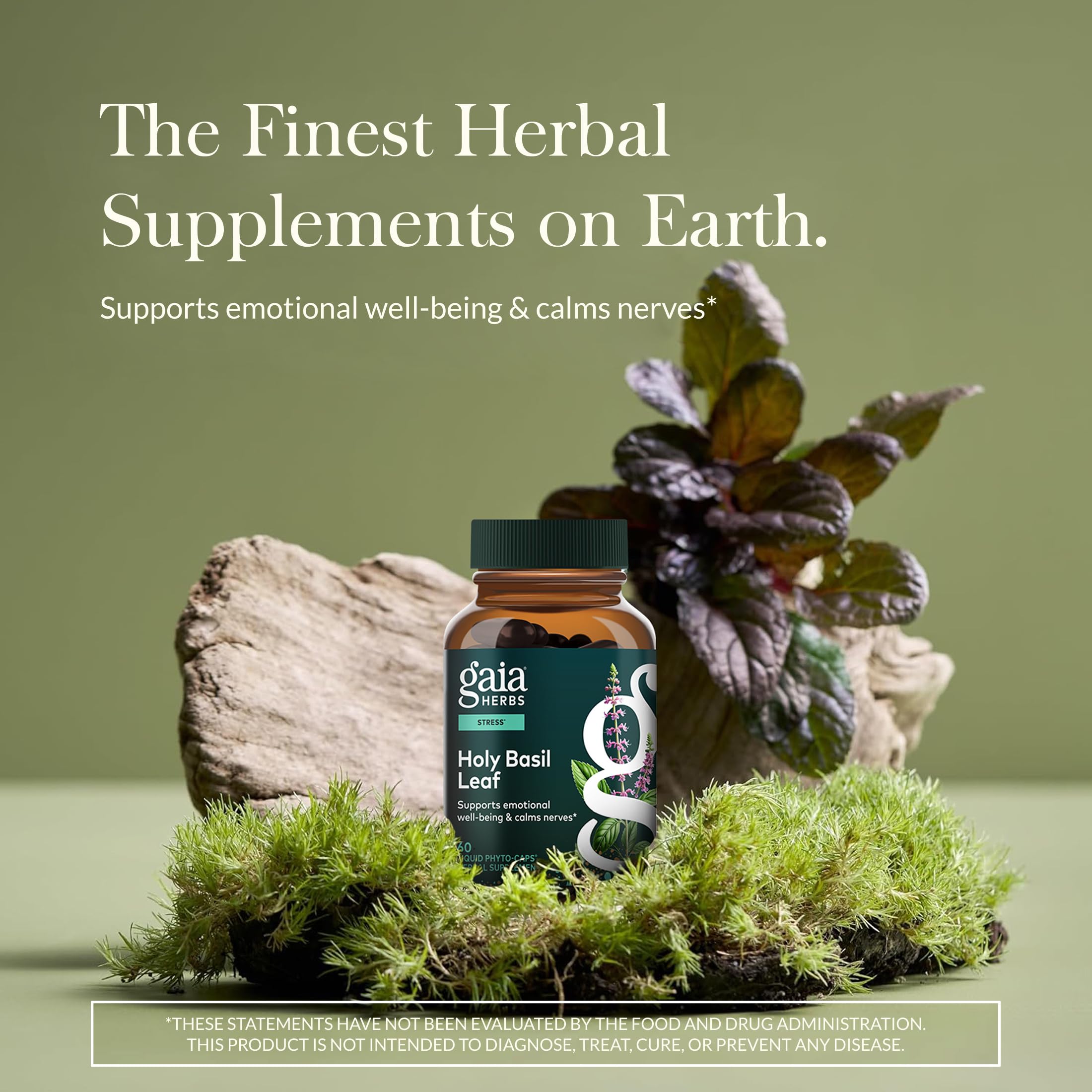 Gaia Herbs Holy Basil Leaf — capsules véganes prêtes à l'emploi pour le quotidien.