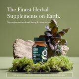 Gaia Herbs Holy Basil Leaf — capsules véganes prêtes à l'emploi pour le quotidien.